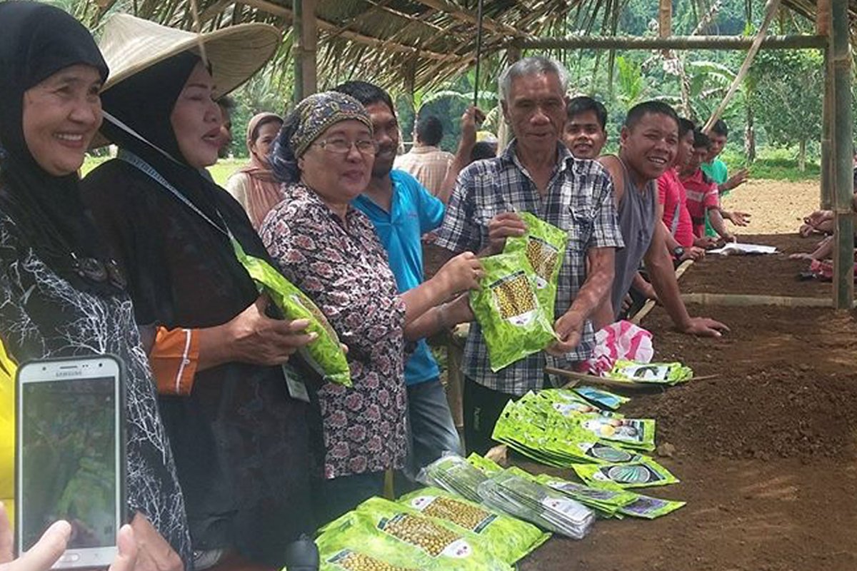 Vegetable-Growing Project to Help in Marawi Rehabilitation