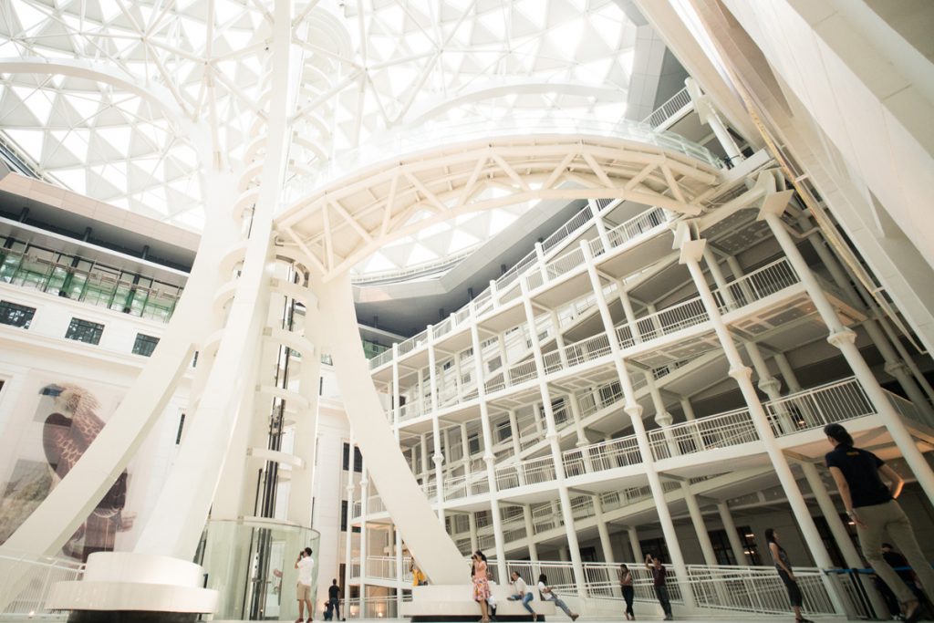 NATIONAL MUSEUM OF NATURAL HISTORY TIME OPEN intelligence overview