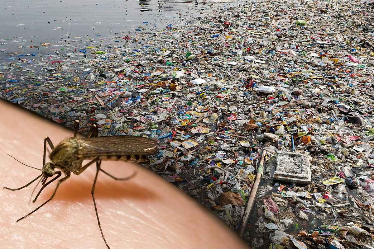 EcoWaste Coalition encourages ecological solid waste management