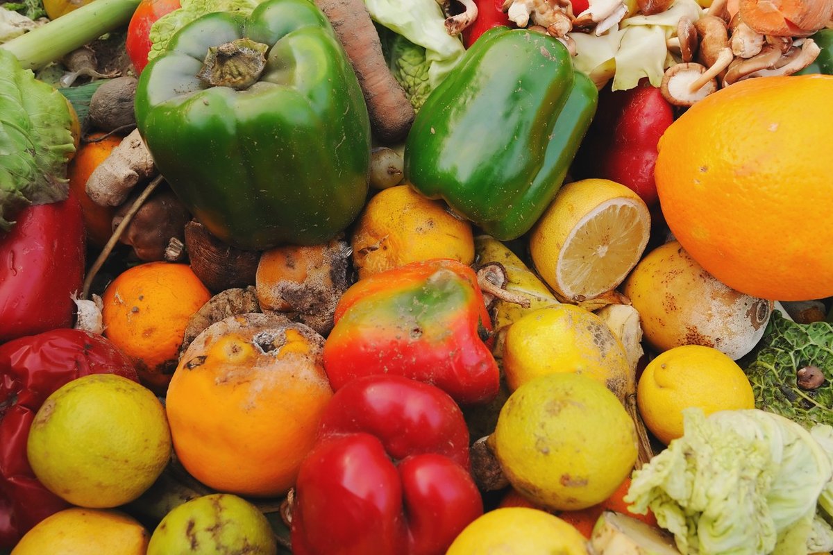 Conscious Consumers can help curb food waste in PH