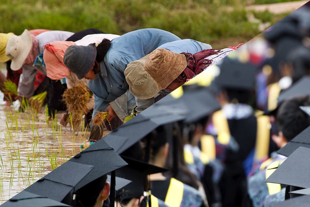 800 farmers graduate from DA "School on the Air" program