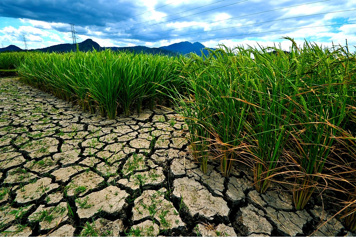 DENR holds programs raising awareness on Climate Change
