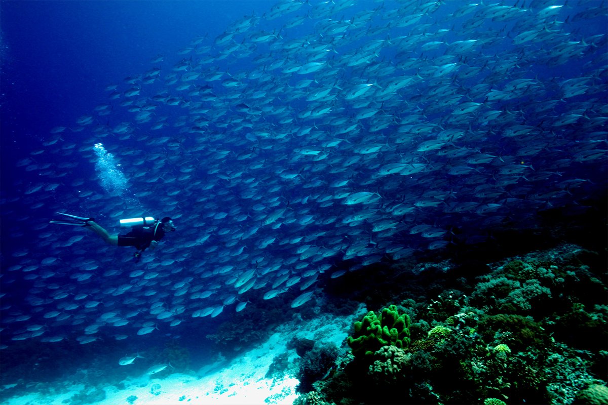 Philippines eyeing to attract more foreign divers