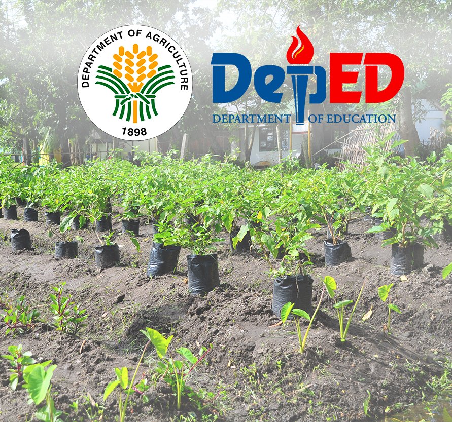 Davao Schools and Local Communities Continue to Benefit from DA and DepEd’s 'Gulayan' Program