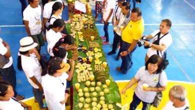 Crafts and Skills of IPs, Women in NegOcc Town Boosted