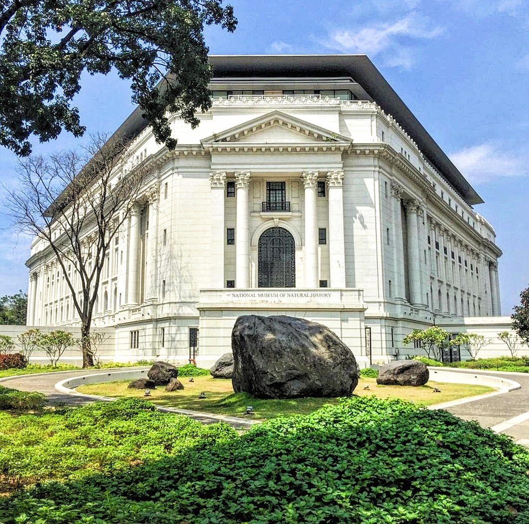 The National Museum of Natural History opens in March!
