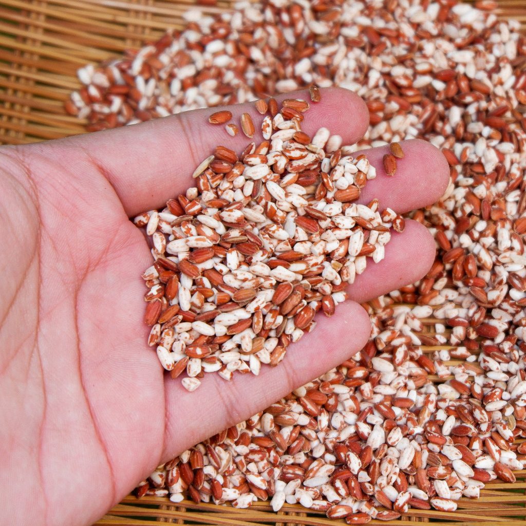Red rice grains