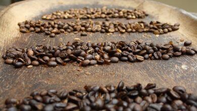Philippines Single-Origin Coffee: Ready for the World