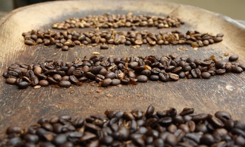 Philippines Single-Origin Coffee: Ready for the World