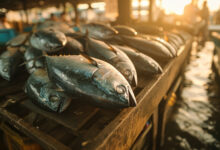 Fish Farming in the Philippines: A Comprehensive Guide