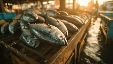 Fish Farming in the Philippines: A Comprehensive Guide