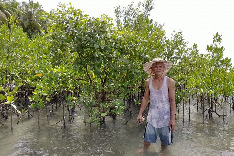 yolanda survivor