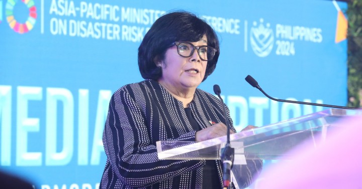 DENR at COP29: What to Expect at This Year's Conference