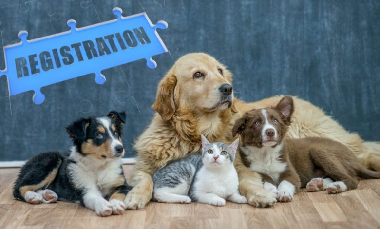 Mandatory Pet Registration in the Philippines: A Complete Guide