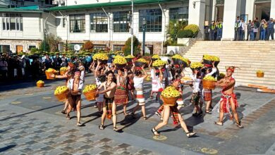 Panagbenga 2026 Grand Parade Guide: What to Expect
