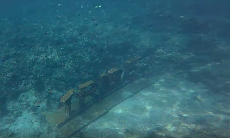 Is Freediving in Mabini Worth It? Our Experience with Freedive Tribe PH