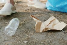 "Eco-Anxiety" and How Much We Care in a Warming World