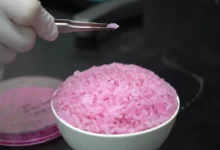 Pink Rice Could Become the Food of the Future