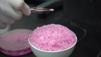 Pink Rice Could Become the Food of the Future