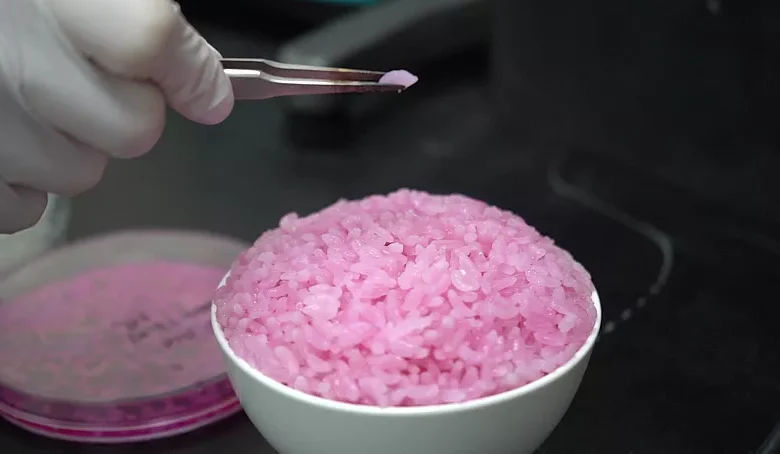 Pink Rice Could Become the Food of the Future