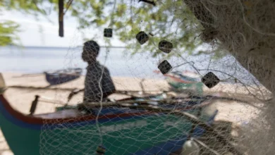 Our Waters, Our Lives: What the South China Sea Dispute Means for Every Filipino