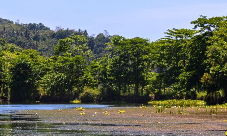 Metro Manila Needs Its Wetlands as Calamities Strike