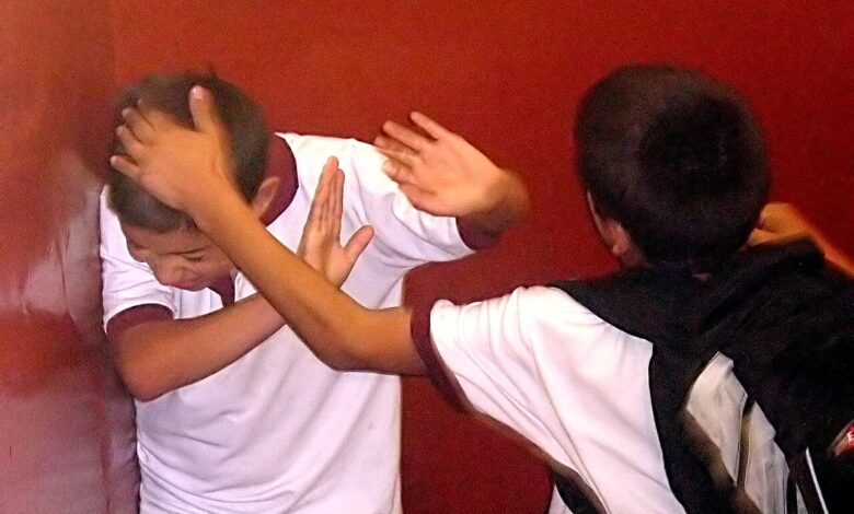 Bullying and Rising School Violence Calls for Stronger Government Action