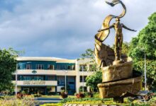 Free Online Courses Now Available Through UP Open University 2026