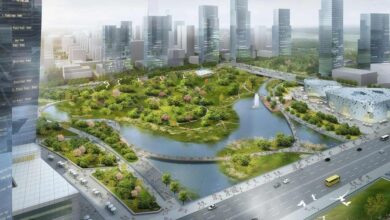 Sponge Cities Explained: A Smarter Way to Fight Flooding