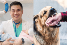anti-rabies vaccine