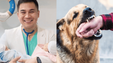 anti-rabies vaccine