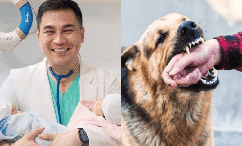 anti-rabies vaccine