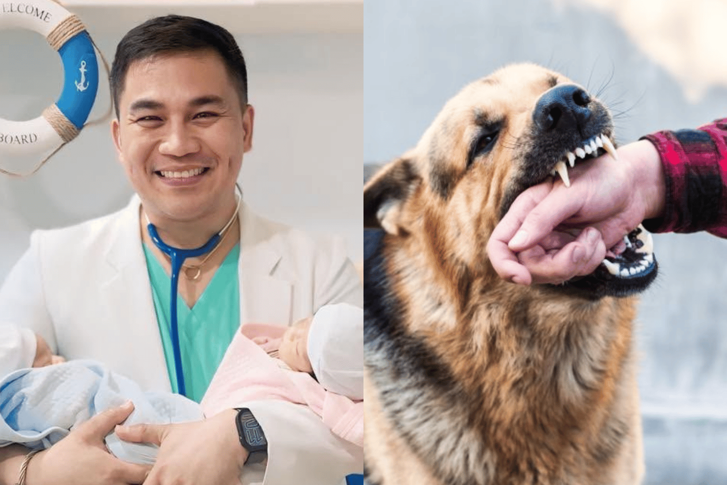 anti-rabies vaccine