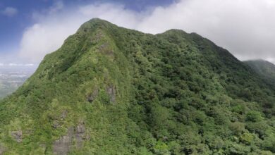 Mount Makiling Might Hold the Key to Cleaner Fuel