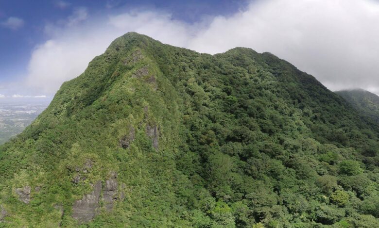 Mount Makiling Might Hold the Key to Cleaner Fuel