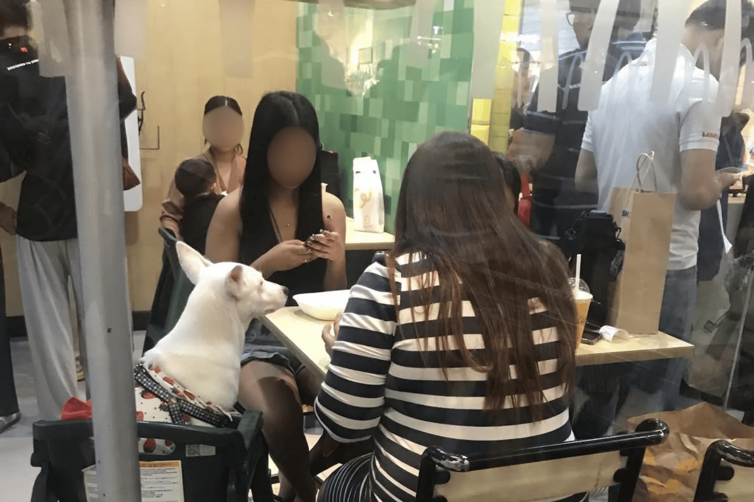 baby high chairs