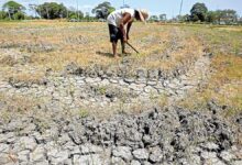 Habagat and El Niño: How Changing Weather Can Affect Your Health