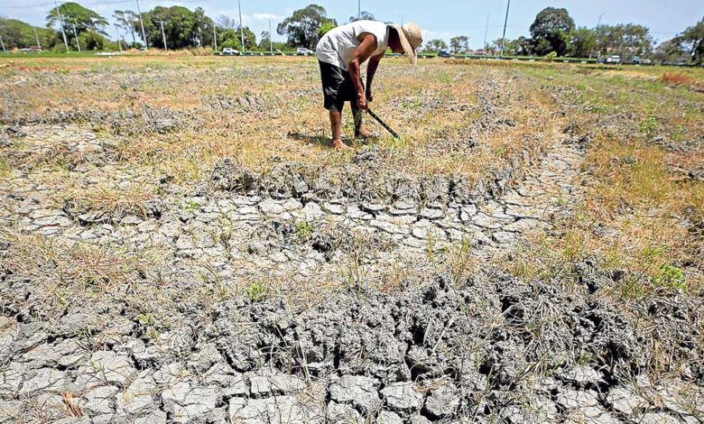Habagat and El Niño: How Changing Weather Can Affect Your Health