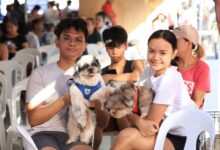 PawsMatch: Building a Community for Lost Pet Owners