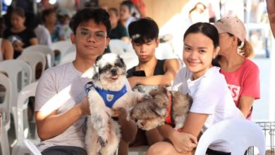 PawsMatch: Building a Community for Lost Pet Owners