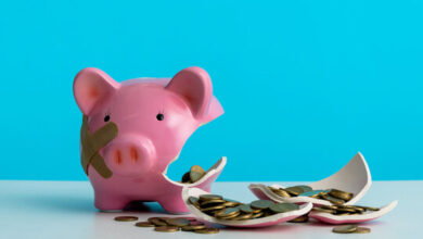 The Supreme Court Just Voided the 2024 and 2025 Budget Laws. What Happens to Your Money Now?