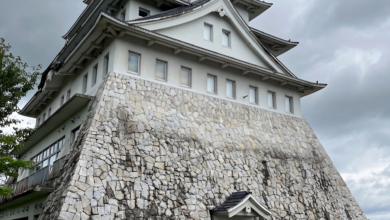 Japanese Castle
