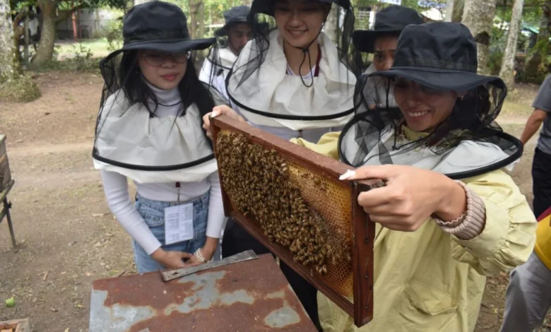 beekeeping