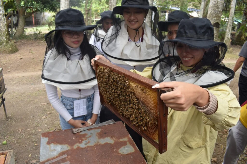 beekeeping