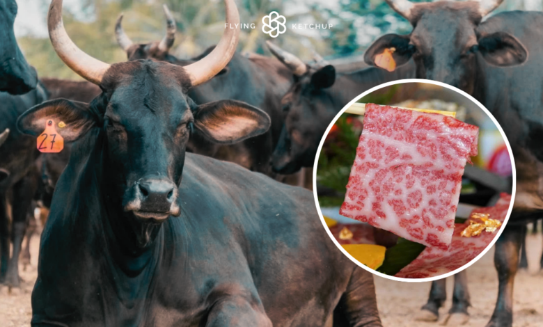 Wagyu Beef in the Philippines