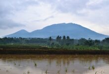 The Legends, Spirits, and Secrets Living Inside Mount Banahaw