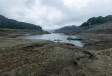 Buckets, Dams and Cloud Seeding: How Our Neighbors Are Preparing for El Niño