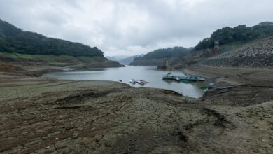 Buckets, Dams and Cloud Seeding: How Our Neighbors Are Preparing for El Niño