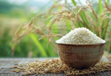 Palay prices up from last year as rice gets costlier