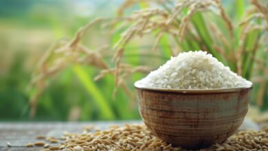 Palay prices up from last year as rice gets costlier